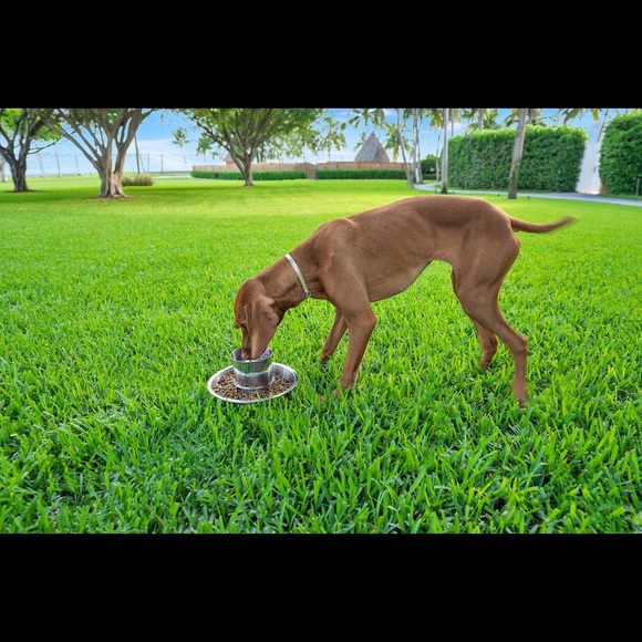 UNIBOWL all in one food and water dog bowl small & large - Picture 3 of 7